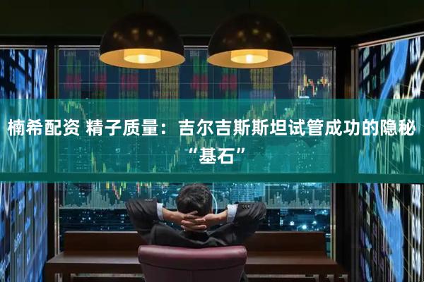 楠希配资 精子质量：吉尔吉斯斯坦试管成功的隐秘 “基石”
