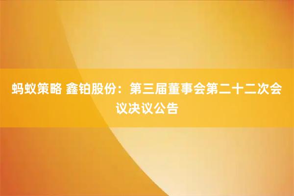 蚂蚁策略 鑫铂股份：第三届董事会第二十二次会议决议公告