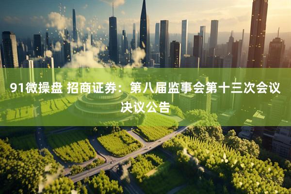 91微操盘 招商证券：第八届监事会第十三次会议决议公告