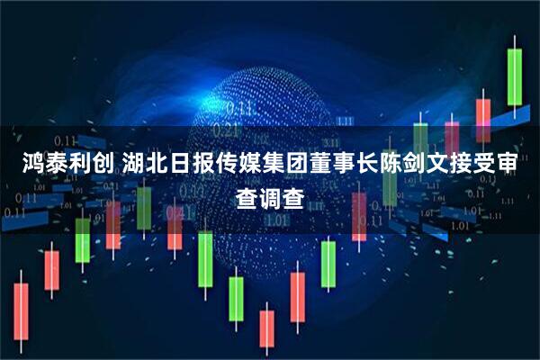鸿泰利创 湖北日报传媒集团董事长陈剑文接受审查调查