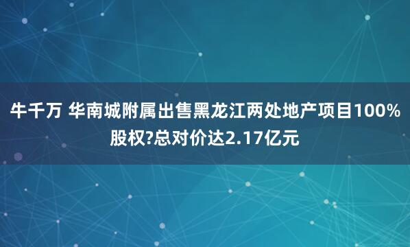 牛千万 华南城附属出售黑龙江两处地产项目100%股权?总对价达2.17亿元