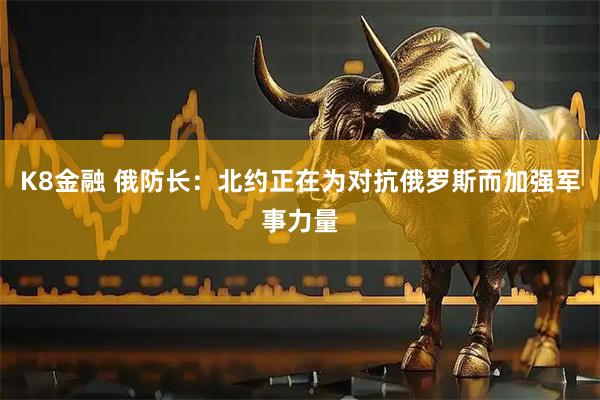 K8金融 俄防长：北约正在为对抗俄罗斯而加强军事力量