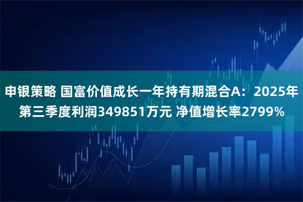 申银策略 国富价值成长一年持有期混合A:2025年第三季度利润349851万元 净值增长率2799%