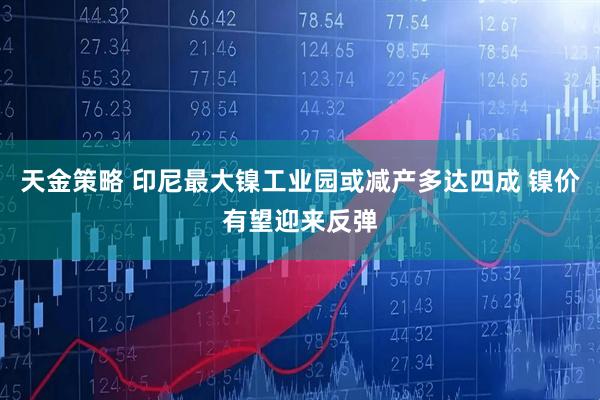 天金策略 印尼最大镍工业园或减产多达四成 镍价有望迎来反弹